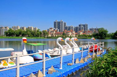 Parktaki kuğu model tekne.