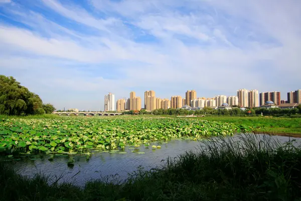 stock image Waterfront city building scenery, China