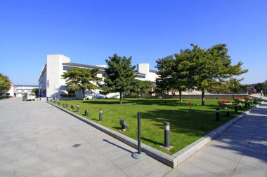 Park manzarası fotoğrafın yakın çekimi