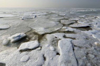 Deniz kenarındaki buz ve kar, doğal manzara.