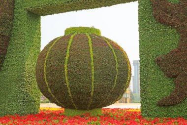 Fener şekilli bitki örtüsü