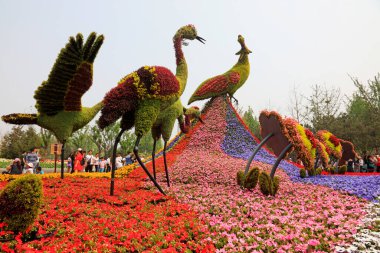 Tangshan City - 1 Mayıs 2016: Tangshan City, Hebei, Chin 'deki bir parkta kuş şekilli bitki heykelleri