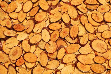 çam ağacı Günlük Kaydı arkaplanı