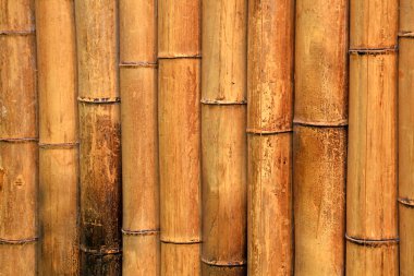 Bambu duvarlar, fotoğrafın yakın plan çekimi.