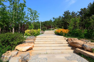 Basamaklar yamaçta.