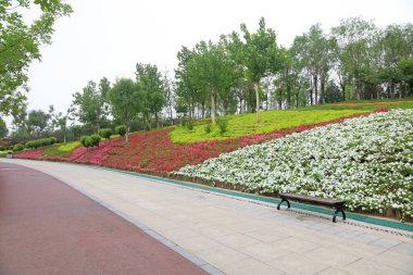 Parkta yollar ve korkuluklar var.