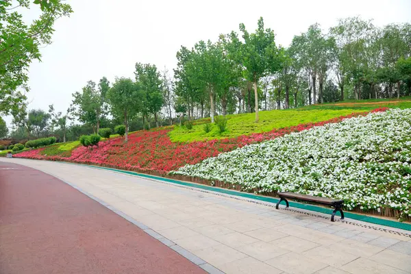 Parkta yollar ve korkuluklar var.