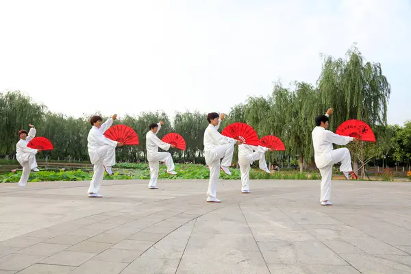 LUANNAN COUNTY - 16 Temmuz 2016 'da Tai Chi uygulayan insanlar, Luannan County, Hebei Eyaleti, Çin