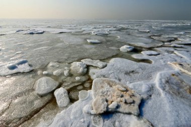 Deniz kenarındaki buz ve kar, doğal manzara.