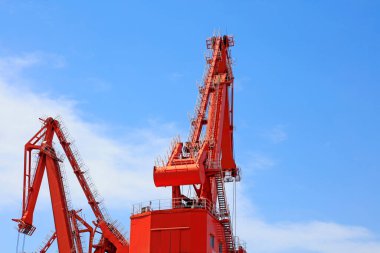 kırmızı vinç patlaması fotoğrafın yakın plan görüntüsü