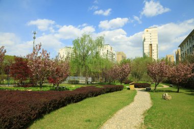 Çin 'de ortaokul kampüs manzarası