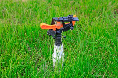 Çimlerde fıskiye sulama ekipmanları