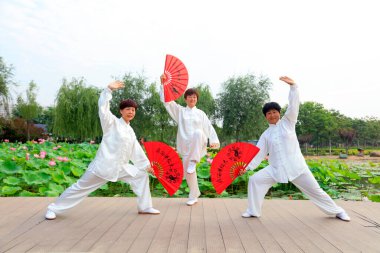 LUANNAN COUNTY - 16 Temmuz 2016 'da Tai Chi uygulayan insanlar, Luannan County, Hebei Eyaleti, Çin