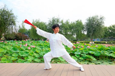 LUANNAN COUNTY - 16 Temmuz 2016 'da Tai Chi uygulayan insanlar, Luannan County, Hebei Eyaleti, Çin