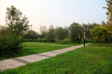 Parktaki kayrak yol fotoğrafa yakın çekim.