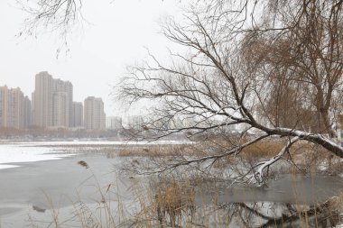 Parktaki kardan sonra manzara