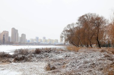 Parktaki kardan sonra manzara