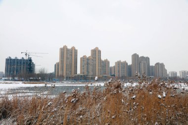 Çin Şehir Parkının kış manzarası