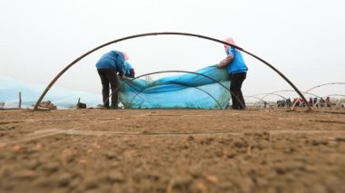 LUANNAN COUNTY, Çin - 12 Nisan 2021: çiftçiler çiftliklerde pirinç tohumu seraları inşa ediyorlar.