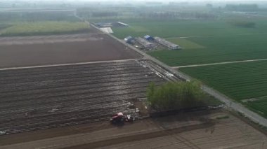 Çiftçiler, Kuzey Çin 'deki çiftliklere plastik kaplı fıstık ekmek için ekicileri kullanır.