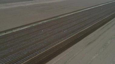 Plastik film fıstık tarlası, Kuzey Çin