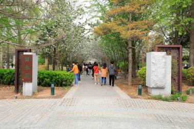 Pekin, Çin - 10 Nisan 2021: Yuyuantan Park 'ta turistler oynuyor
