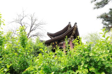 Pekin, Çin - 10 Nisan 2021: Yuyuantan Park 'taki geleneksel Çin Pavyonu mimari manzarası.