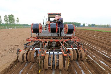 LUANNAN COUNTY, Çin - 26 Nisan 2021: çiftçiler Kuzey Çin 'deki ekicilere damlama sulama boruları kurdular.