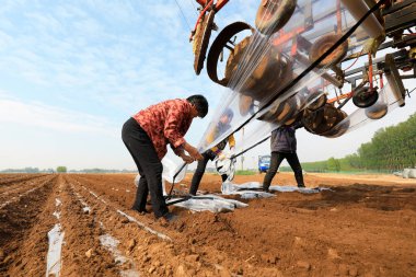 LUANNAN COUNTY, Çin - 26 Nisan 2021: Çiftçiler, Kuzey Çin 'deki çiftliklerdeki ekicilerin damlama sulama borularını ve plastik filmlerini sınıflandırıyorlar