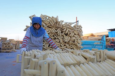 LUANNAN COUNTY, Çin - 25 Kasım 2021: işçiler Kuzey Çin 'deki bir fabrikada işlenmiş ahşap maça saplarını düzenliyor