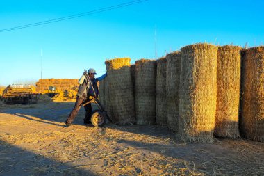 LUANNAN COUNTY, Çin - 12 Aralık 2021: Çiftçiler Kuzey Çin 'deki bir fabrikaya saman perdeleri yüklüyorlar