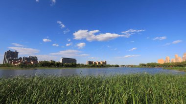 Liman şehri manzarası, Kuzey Çin