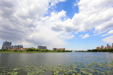 Waterfront City Mimarlık, Kuzey Çin