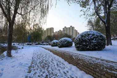 Şehir kar manzarası bir parkta, Kuzey Çin 'de.