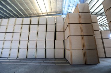 Parçacık tahtası ürünleri Kuzey Çin 'deki bir fabrikada depolanmış.