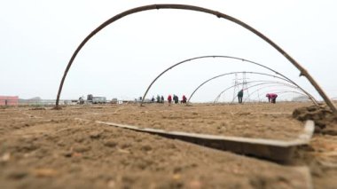 LUANNAN COUNTY, Çin - 12 Nisan 2021: çiftçiler çiftliklerine pirinç filizleme tepsileri yerleştirdiler.