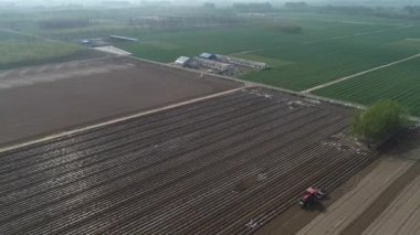 Çiftçiler, Kuzey Çin 'deki çiftliklere plastik kaplı fıstık ekmek için ekicileri kullanır.