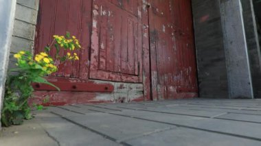 Kuzey Çin 'deki antik kapı açılışının yanında yabani çiçekler açmaktadır.