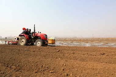 LUANNAN COUNTY, Hebei Eyaleti, Çin - 1 Nisan 2021: çiftçiler taro yetiştirirken tarım makineleri kullanıyorlar