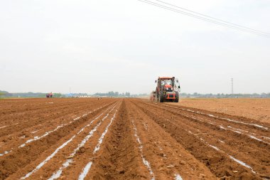 LUANNAN COUNTY, Çin - 26 Nisan 2021: Çiftçiler çiftliklerde plastik kaplı fıstık yetiştirmek için ekicileri kullanır.