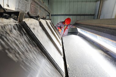 İşçiler, Kuzey Chin 'deki tuz üretim hattında çok sıkı çalışıyorlar.