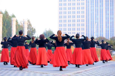 LUANNAN COUNTY, Çin - 24 Ekim 2021: Güzel bayan Kuzey Çin 'deki parkta oynuyor