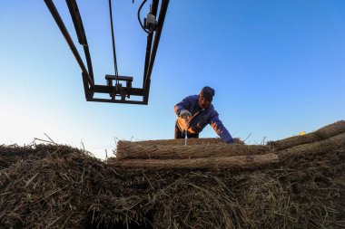 LUANNAN COUNTY, Çin - 12 Aralık 2021: Çiftçiler Kuzey Çin 'deki bir fabrikaya saman perdeleri yüklüyorlar