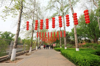 Pekin 'deki Yuyuantan Parkı' nda asılı kırmızı fenerler.