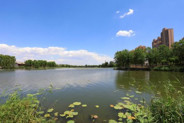 Waterfront City Mimarlık, Kuzey Çin