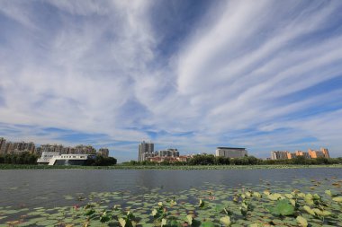 Mavi gökyüzü ve beyaz bulutlar altında güzel deniz manzarası, Kuzey Çin