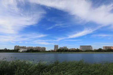 Mavi gökyüzü ve beyaz bulutlar altında güzel deniz manzarası, Kuzey Çin