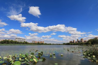 Güneşli deniz kenarı mimari manzarası, Kuzey Chin