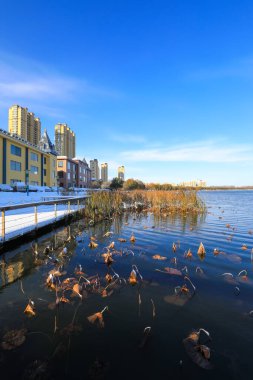 Kuzey Çin 'de bir parkta güzel bir kar manzarası