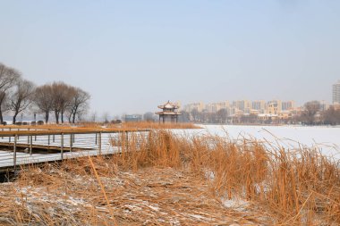 Waterfront City kar manzarası, Kuzey Çin